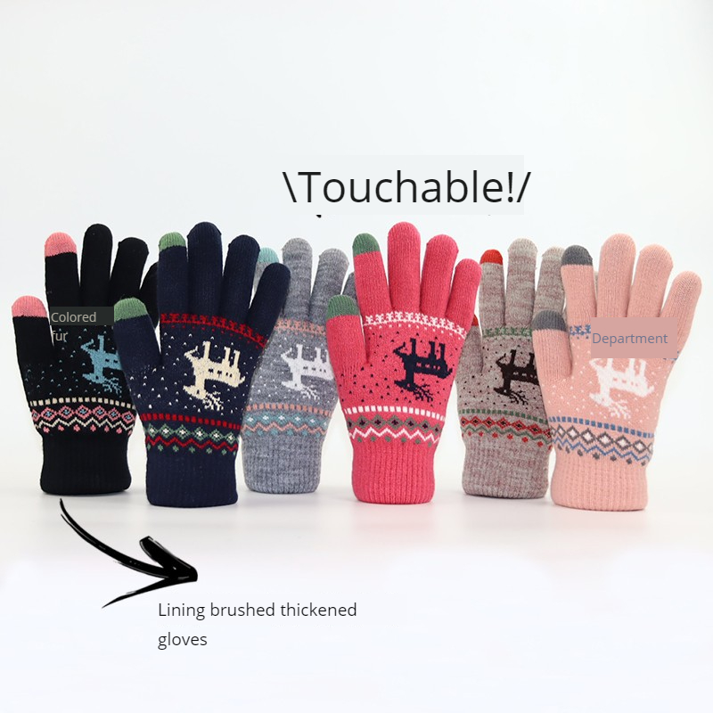 Herbst- und Winterhandschuhe:  – Wool Glove Lined Bewertung und Preis